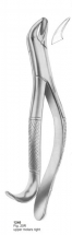 Fig. 20R upper molars right 